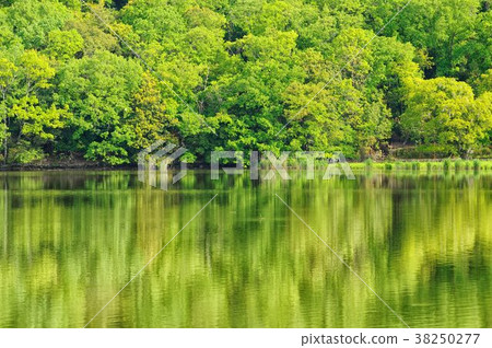 Water mirror green 38250277