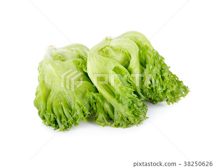 fresh Frillice Iceburg lettuce on white background fresh Frillice Iceburg lettuce on white background 38250626