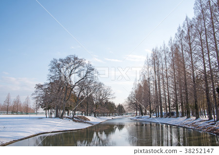 Oyuki Kenpo ground park snow scene in the Kanto region Oyuki Kenpo ground park snow scene in the Kanto region 38252147