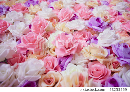 flower, flowers, pink 38253369