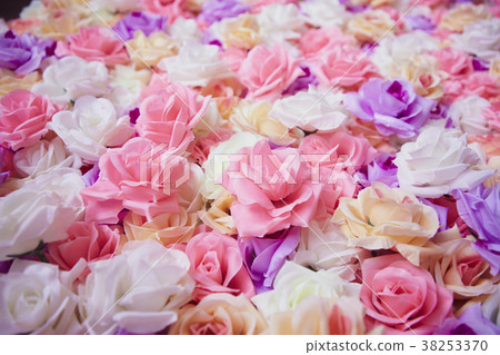 花朵 花 花卉 38253370