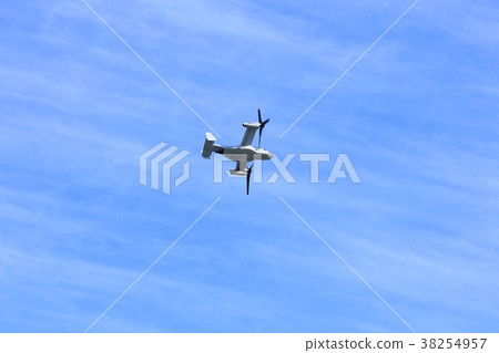 飛魚鷹 飛魚鷹 38254957