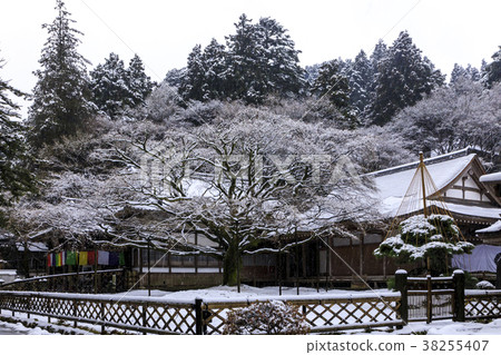 Snowy Thunder Mountain Shenyoji Daisyouin 38255407