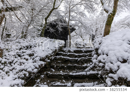 秋雪城堡在雪中 38255534