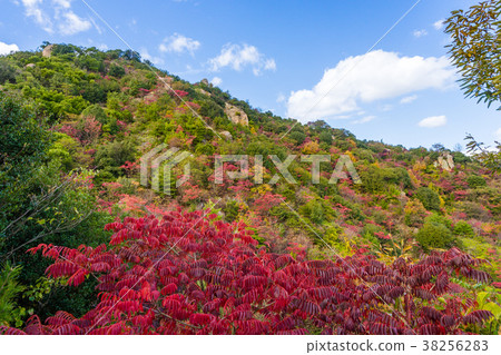 Looking up at Shiraishijima and Tateishiyama (Kasaoka City, Okayama Prefecture) *There is shooting position information in the comment section of the work Looking up at Shiraishijima and Tateishiyama (Kasaoka City, Okayama Prefecture) *There is shooting position information in the comment section of the work 38256283