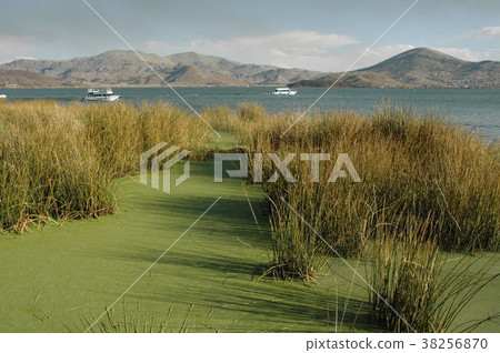 Titicaca Lake 38256870