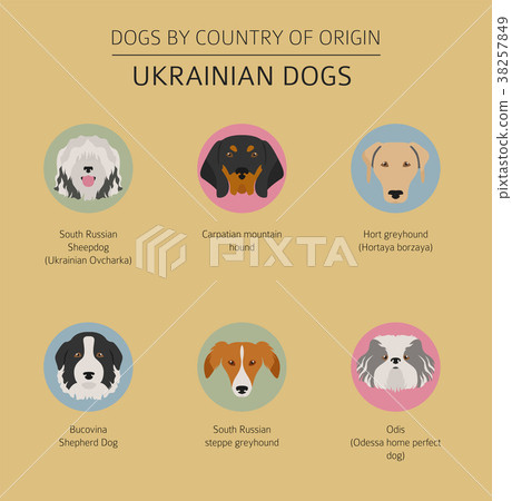 Dogs by country of origin. Ukrainian dog breeds - Stock Illustration ...