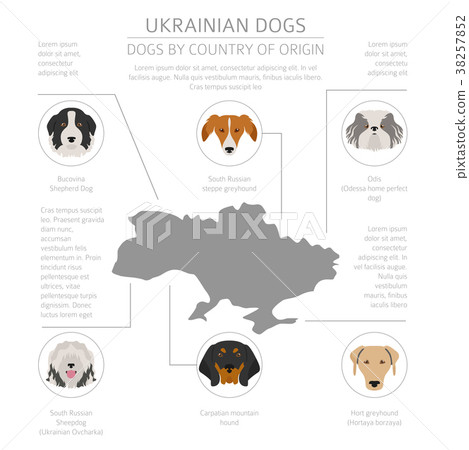 Dogs by country of origin. Ukrainian dog breeds Dogs by country of origin. Ukrainian dog breeds 38257852
