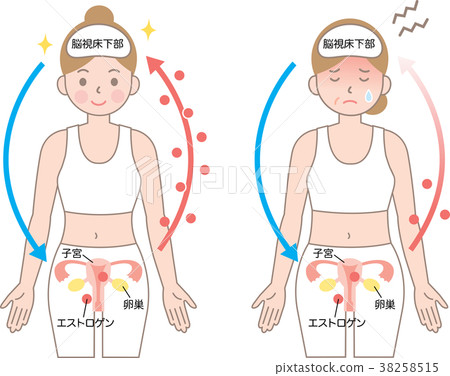 Menopause estrogen 38258515