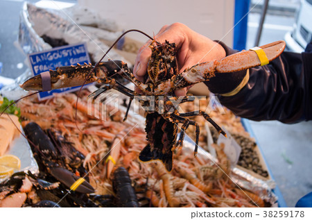 Lobster on the fish market 38259178