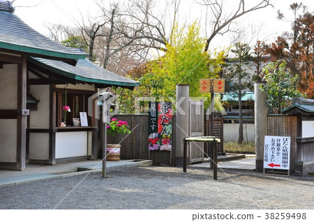 鎌倉鶴岡八幡宮神社Kotobotan花園入口 鎌倉鶴岡八幡宮神社Kotobotan花園入口 38259498