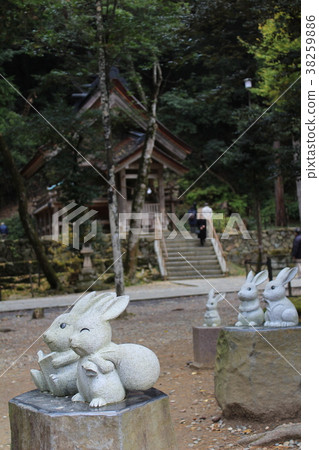Rabbit at Izumo Taisha 38259886