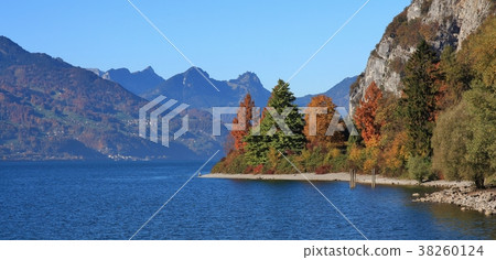 Colorful trees on the shore of lake Walensee. 38260124