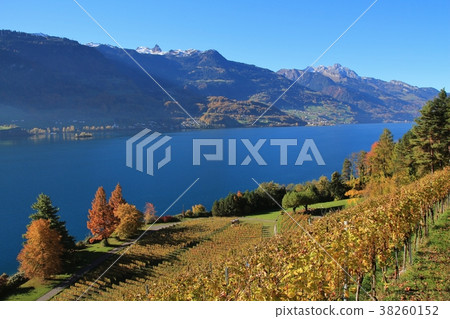 Autumn landscape at lake Walensee, Switzerland. Autumn landscape at lake Walensee, Switzerland. 38260152