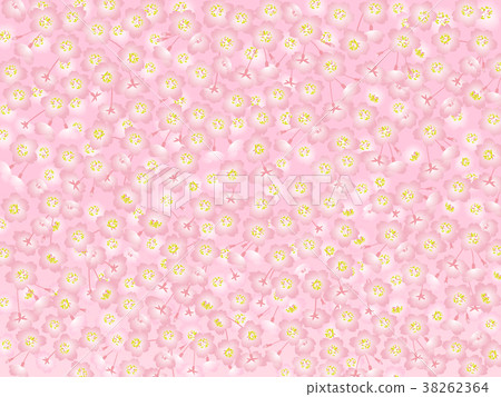 Cherry blossom background pink Cherry blossom background pink 38262364