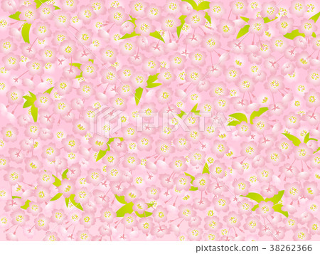 櫻花背景桃紅色葉子 38262366