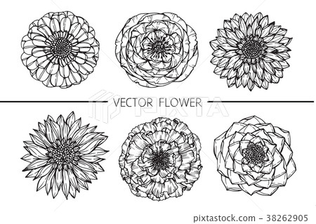 Flower drawing illustration.  38262905