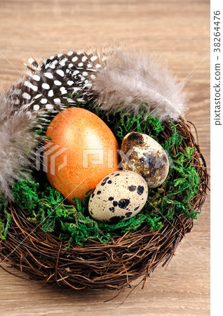 Quail easter eggs in a nest on wooden table Quail easter eggs in a nest on wooden table 38264476