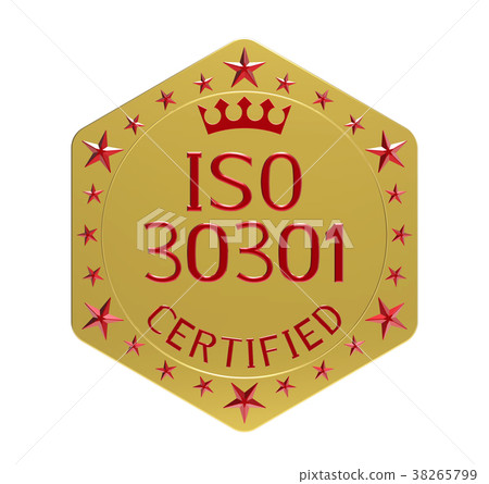ISO 30301 standard 38265799
