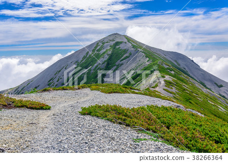 Lotus dake (North Alps) 38266364