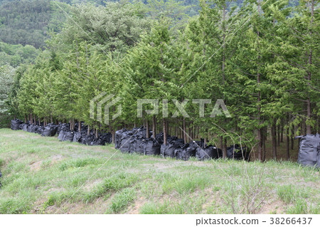 Decontamination work 38266437