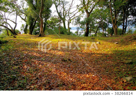Landscape of Aki Castle 38266814