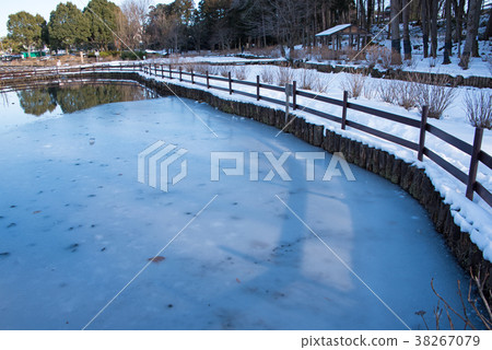 Ageo Maruyama Park雪景池在關東地區的大雪 Ageo Maruyama Park雪景池在關東地區的大雪 38267079