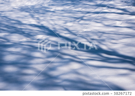 在關東地區的大雪雪景樹影 38267172