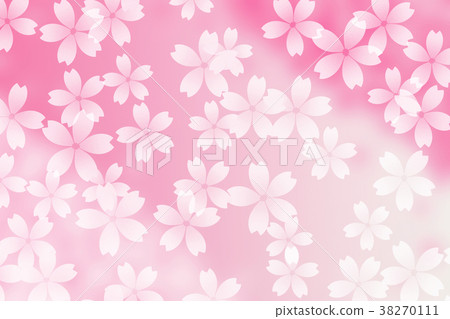櫻花綻放春天桃紅色背景 櫻花綻放春天桃紅色背景 38270111