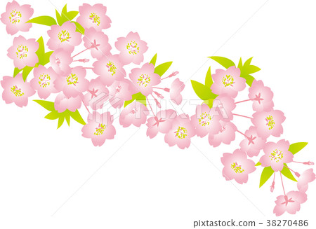 Cherry blossom background pink leaves watermark Cherry blossom background pink leaves watermark 38270486