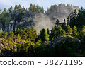 Scenics of wild forest - taiga 38271195