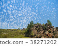 Scenics of wild forest - taiga 38271202