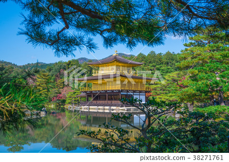 Kyoto Kinkakuji Temple in the fall 38271761