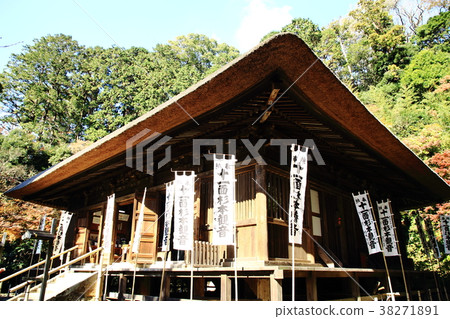 杉本寺,鎌倉最古老的寺廟,觀音堂, 杉本寺,鎌倉最古老的寺廟,觀音堂, 38271891