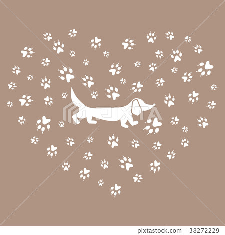 dachshund silhouette on a background of dog tracks 38272229