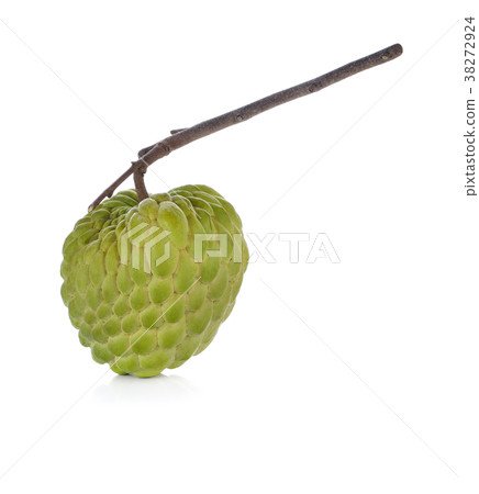 fresh custard apple on white fresh custard apple on white 38272924