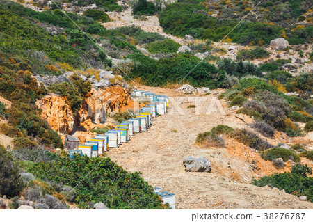 Wooden beehives, Crete Island Wooden beehives, Crete Island 38276787