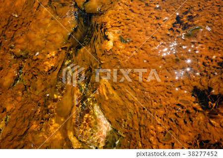 Hot thermal spring in Yellowstone Hot thermal spring in Yellowstone 38277452