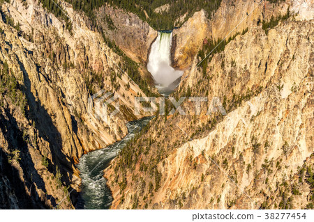 Lower Falls waterfall in Yellowstone 38277454