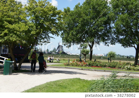 Zaanse Schans Keukenhof Park Windmill Village Netherlands Wind Power Generation Natural Energy 38278002