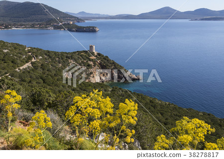Headland of Capo Caccia - Sardinia - Italy 38278817