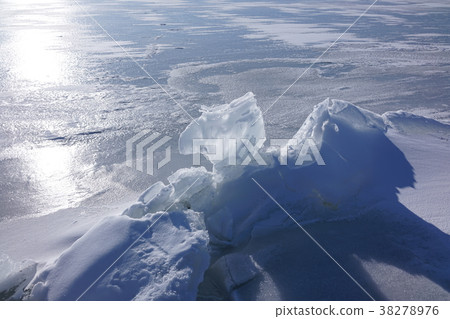 [Lake Suwa] God crossing [Ice chunks that look like horses] 38278976