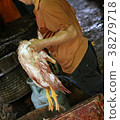 a goose being killed 38279718