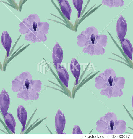Beautiful orchid violet and crocuses flowers 38280037