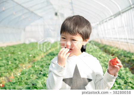 吃與微笑的男孩一個草莓 38280038