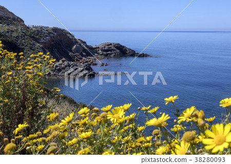West Coast of Sardinia - Italy 38280093