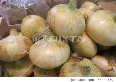 新洋蔥 新洋蔥 38280339