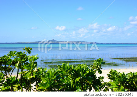 Amazing sea Amazing sea 38280345