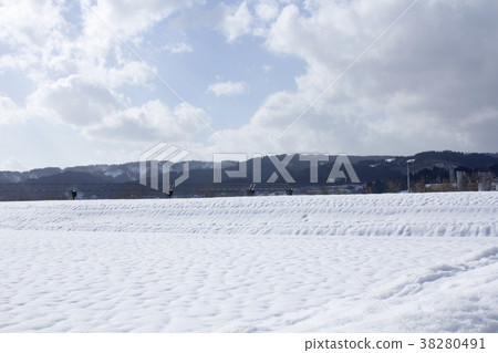 snow          38280491