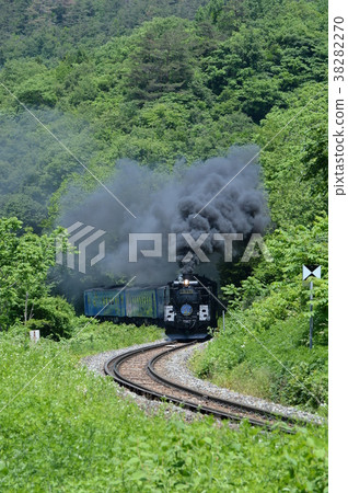S-curve SL galaxy 38282270